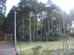 一宮神社_06