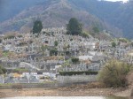 岡林墓地_03